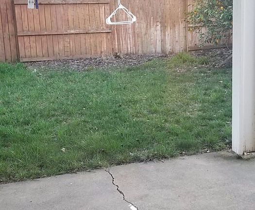 5th image of 2210 Calaveras Ave
