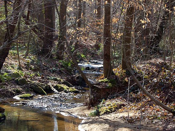 babbling creek in backyard