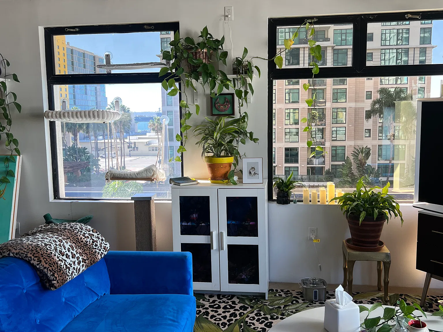 Studio, 1000 sqft, $2,650 — Photo 4