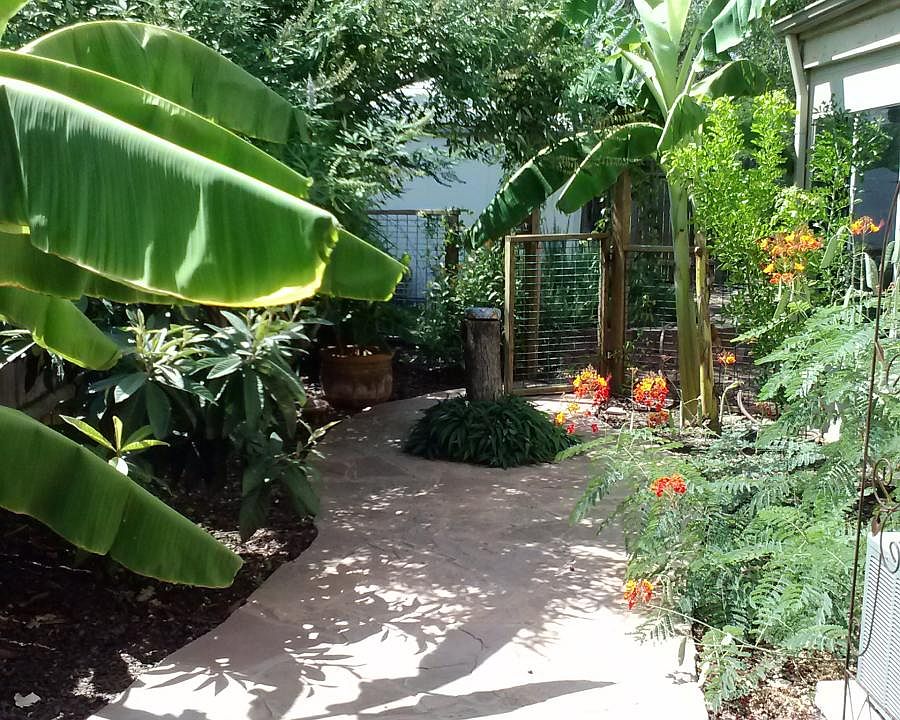 Tropical garden