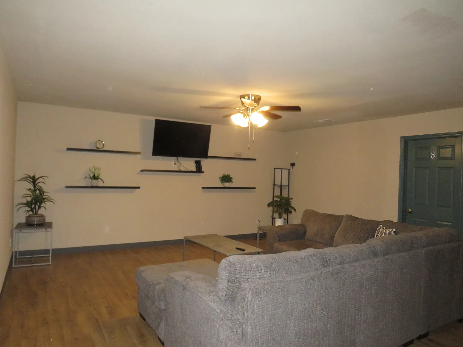 1 bed, $900 — Photo 4