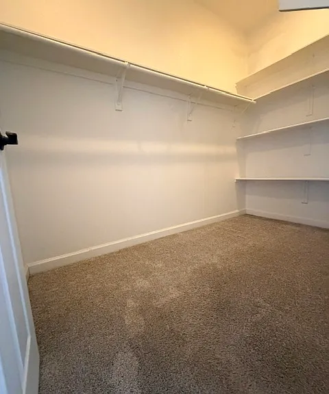 Master Bedroom, Walk In Closet.