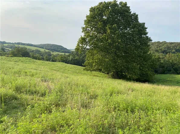 Madison 8500, Hindsville, AR 72738