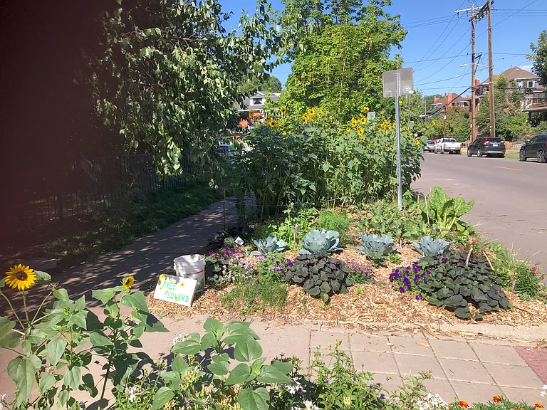 1081 N Marion St — Photo 18