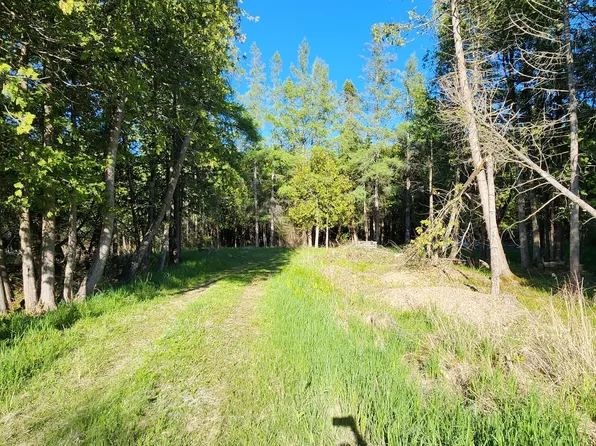 143 N Saint Martins Point Rd, Hessel, MI 49745