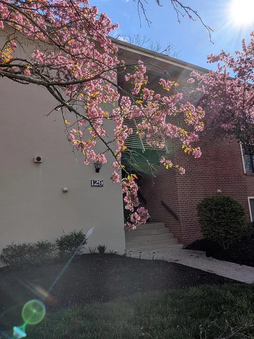 1 bed, 1.0 bath, 934 sqft, $1,850 — Photo 2