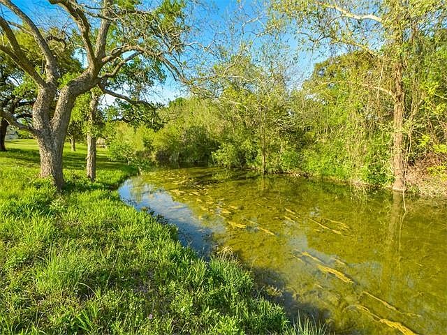 Water is about 4 feet deep here. Gentle slope to creek and no sticker burrs in the grass either