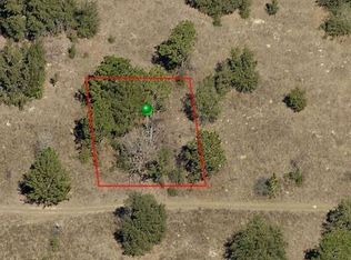 2304 Garfield St, Inverness, FL 34453