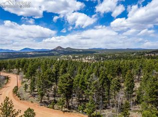 451 Chipeta Creek Trl, Florissant, CO 80816