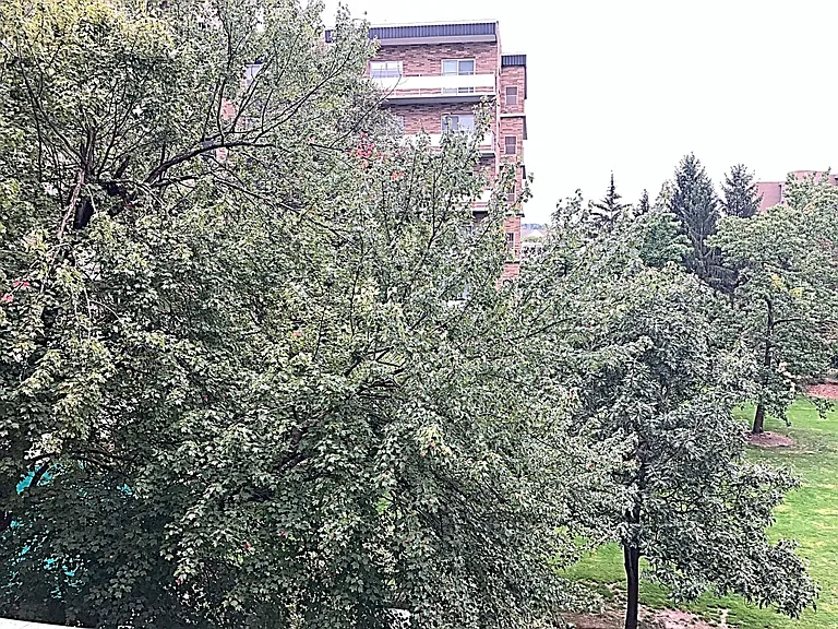 Patio view