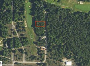 70 Broad Winged Way, Bellaire, MI 49615