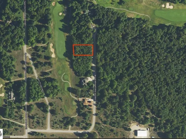 70 Broad Winged Way, Bellaire, MI 49615