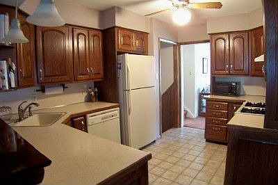 Updated Kitchen -Raised Panel Oak Cabinets