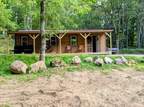 10437 S Bonney Rd, Reed City, MI 49677