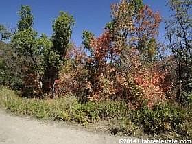 5th image of 185 N Canyon Dr
