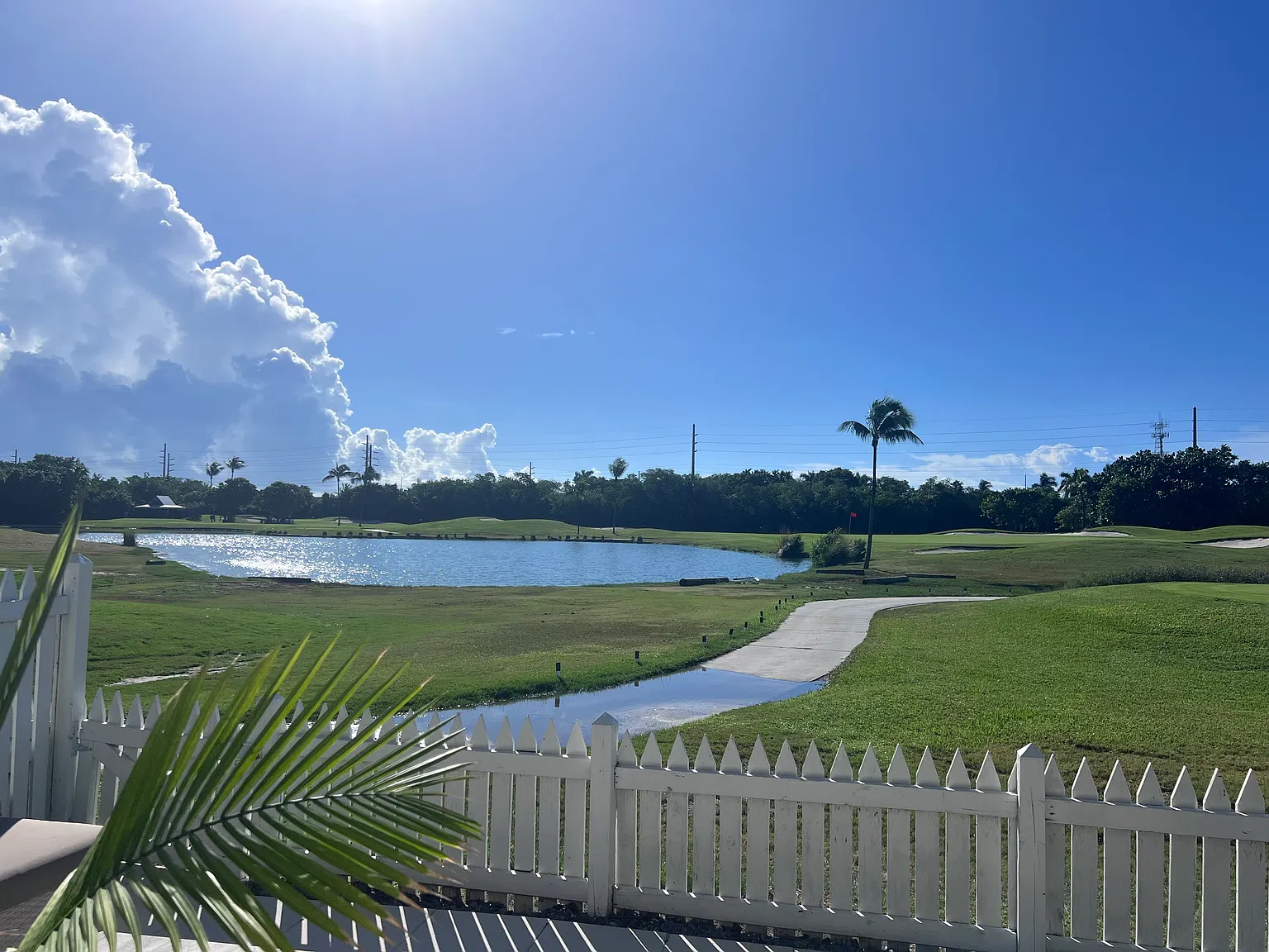 2 bed, 1.5 bath, 806 sqft, $3,700 — Photo 1