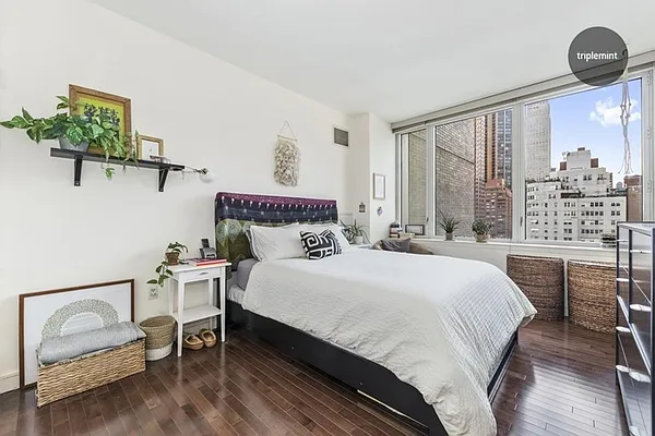 Sold by Triplemint | media 22