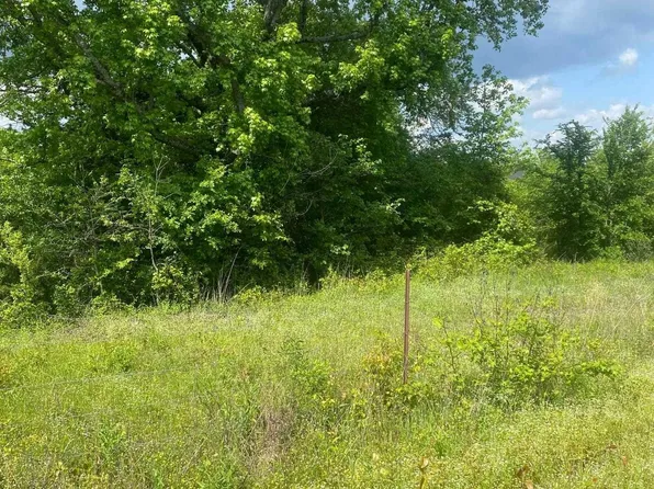 350 Shawbridge Dr, Greenbrier, AR 72058
