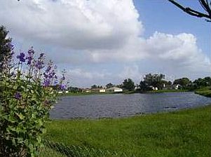 3rd image of 107 Floral Ct