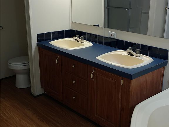 Master bath with garden tub, double vanity and separate show