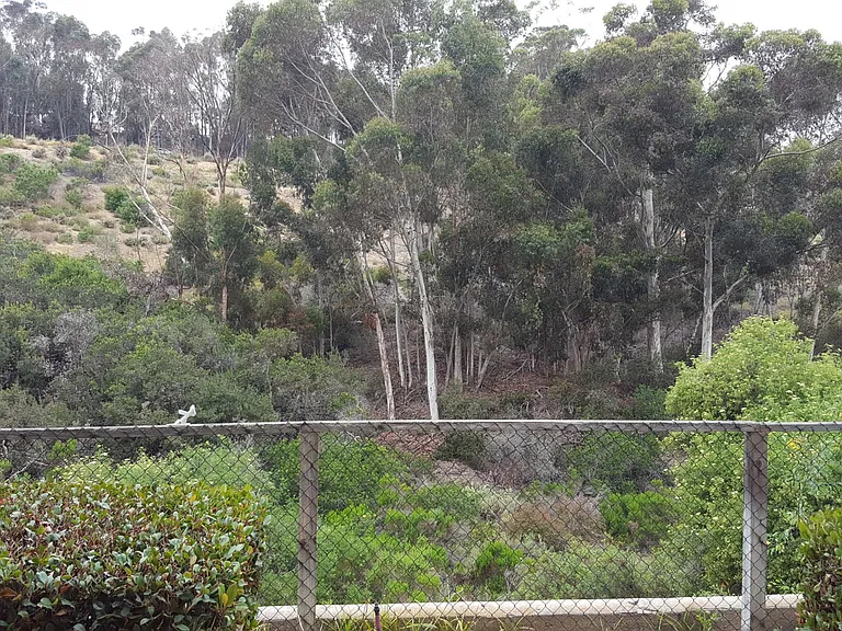 2810 Seaside Way — Photo 8