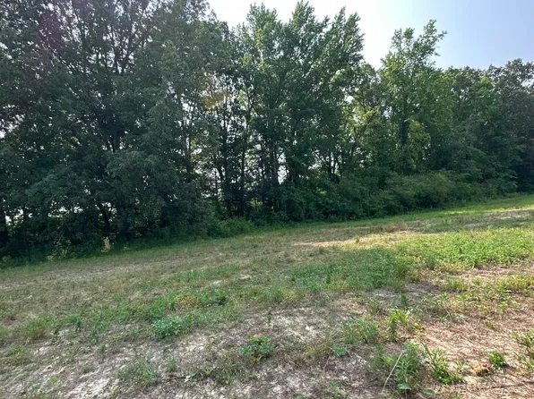 TRACT 45 Hays Mill Rd, Elkmont, AL 35620