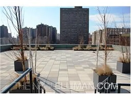 Rented by Douglas Elliman | media 32