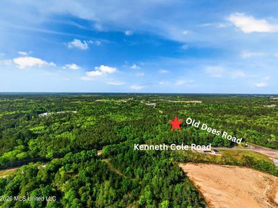 Old Dees Pl, Vancleave, MS, 39565