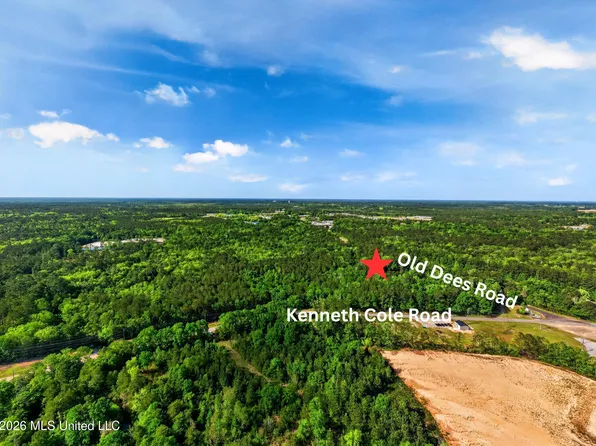 Old Dees Pl, Vancleave, MS 39565