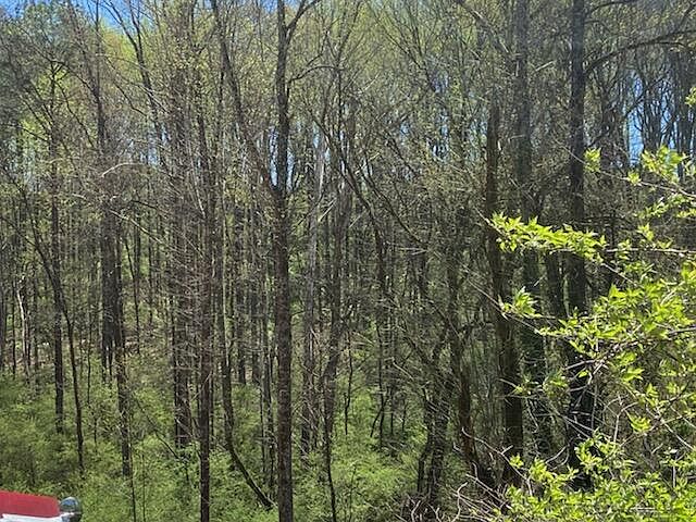 2nd image of 914 Lullwater Rd