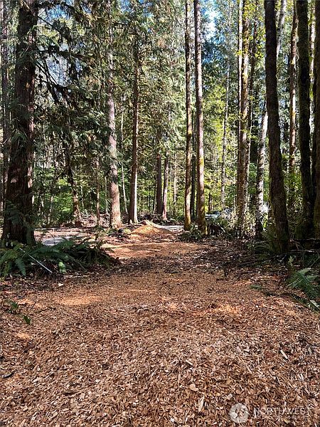 3rd image of 0 Clear Creek Road