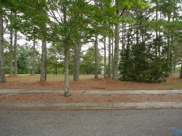 10 Gorham Dr, Pisgah, AL 35765