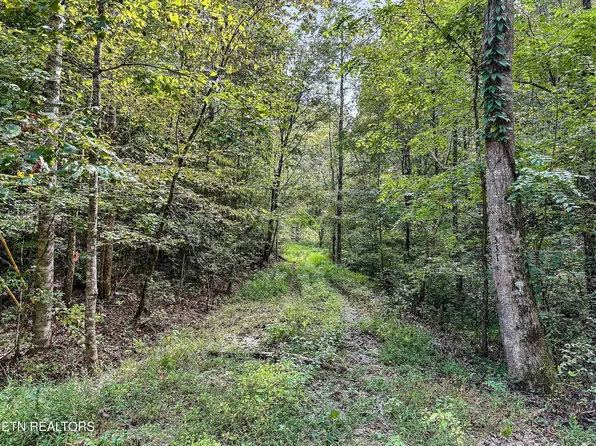 0 Chestnut Ridge Rd Lot 17, Walland, TN 37886