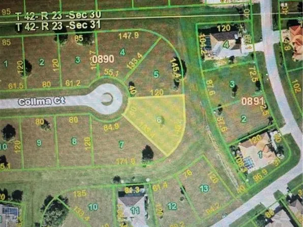 24177 Colima CT, PUNTA GORDA, FL 33955