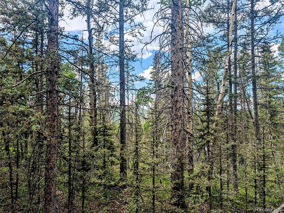25th image of 8.5 Acres Phillips Road
