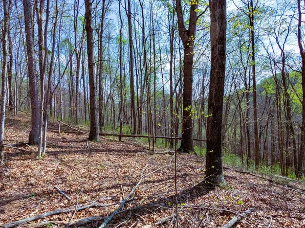 0 Beechgrove Rd, Londonderry, OH 45647