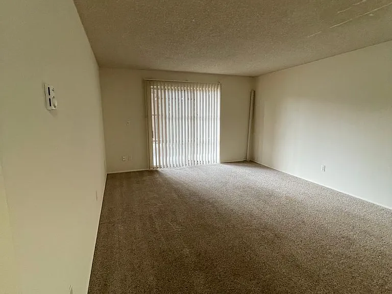 451w13 — Photo 5