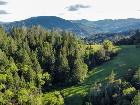 8735 Woodman Creek Road, Laytonville, CA 95454