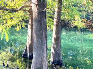 2060 SW 76th Ct, Bell, FL 32619