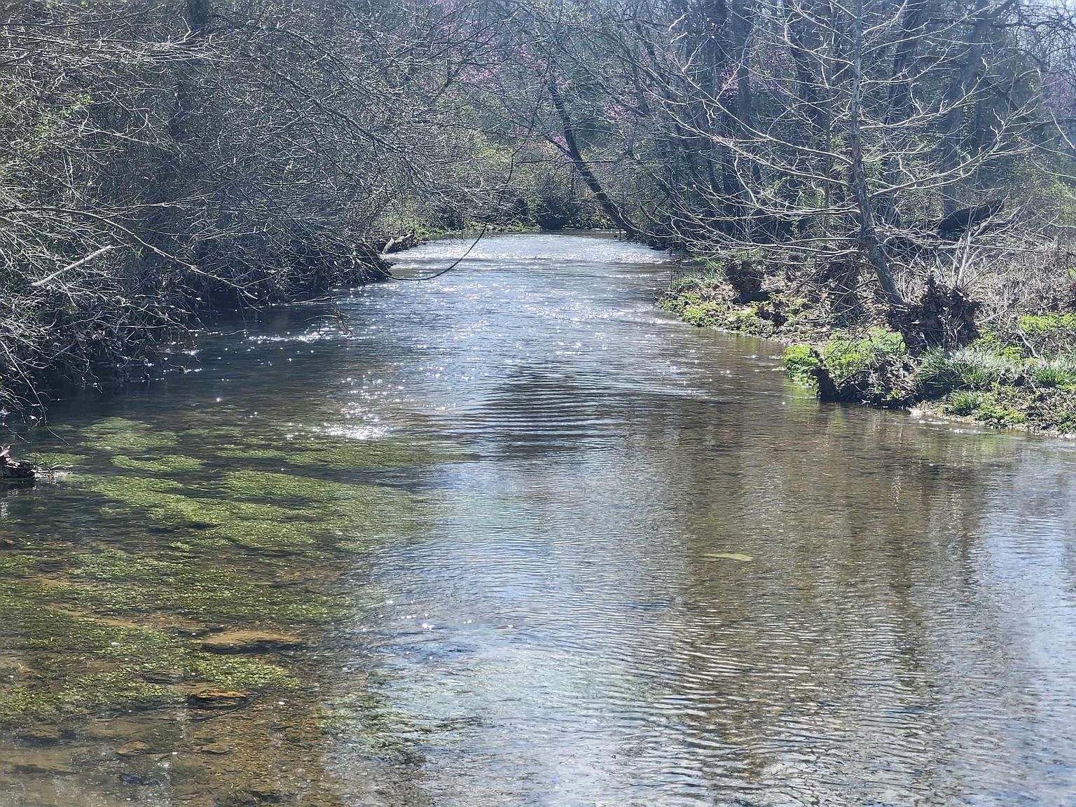 7320 County Rd, Caulfield, MO 65626 Zillow