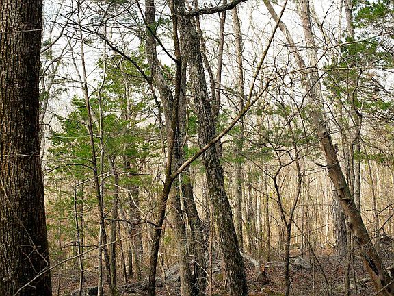 3rd image of County Road 491