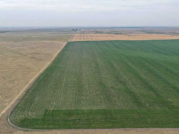 Dji Fly 20260723 084938 0495 1784837584978 Photo