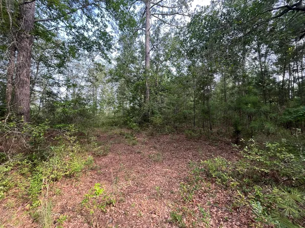 Breezewood Ln, Cottageville, SC 29435