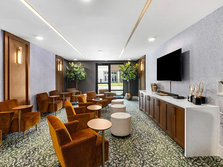 Theatre Room