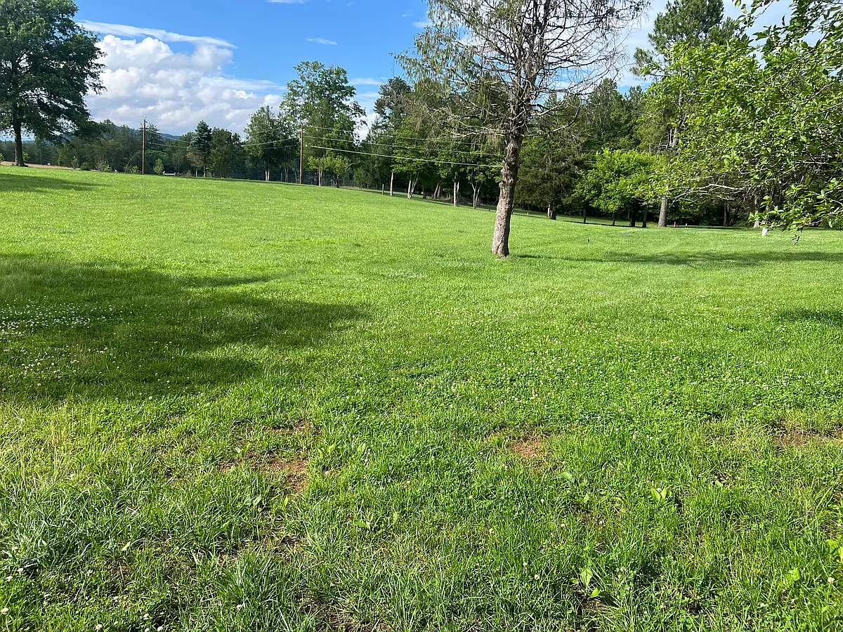 Building Photo - 3837 Pritchett Ln