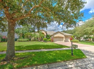 21220 Sky Vista Dr, Land O Lakes, FL 34637
