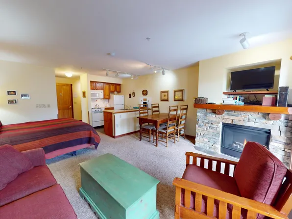 253 Rimfire Ldg, Snowshoe, WV 26209