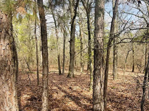 0 Private Road 8000, Winnsboro, TX 75494