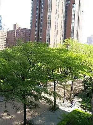 Rented by Corcoran | media 39