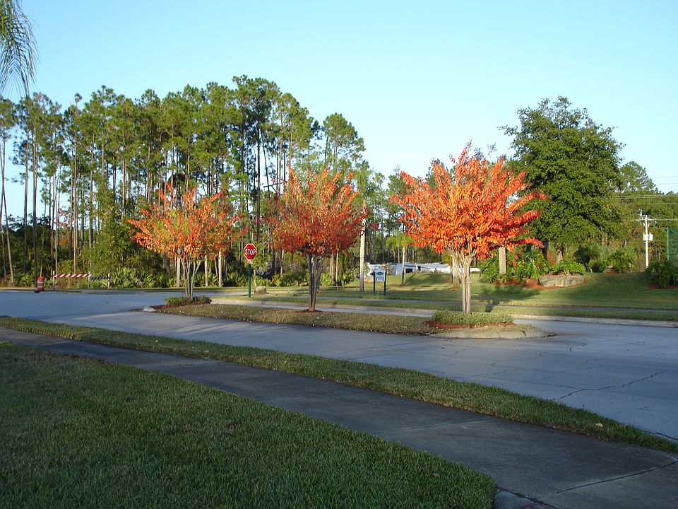 sidewalk lined streets